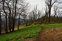 Slovensko - Malé Karpaty: hřeben Vysoké