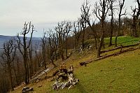 Slovensko - Malé Karpaty: hřeben Vysoké