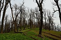 Slovensko - Malé Karpaty: hřeben Vysoké