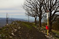 Slovensko - Malé Karpaty: vrchol Vysoké