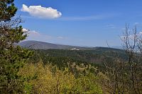 Slovensko - Malé Karpaty: Čachtický hrad z Veľkého Plešivce