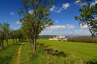 Slovensko - Považský Inovec: zřícenina hradu Beckov ze zelené turistické stezky a švestková alej