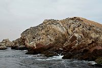 Peru - ostrovy Islas Ballestas