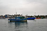 Peru - Paracas