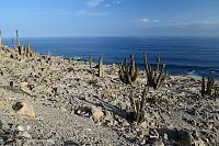 Peru - pobřeží mezi Nazcou a Camaná