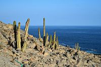 Peru - pobřeží mezi Nazcou a Camaná