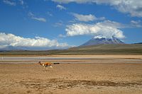 Peru - Salinas y Aguada Blanca, sopka El Misti