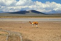 Peru - Salinas y Aguada Blanca