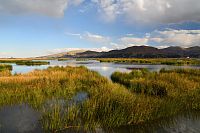 Peru - jezero Titicaca, cestou k plovoucím ostrovům Uros