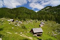 Slovinsko - Julské Alpy: Planina Dedno Polje