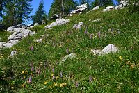 Slovinsko - Julské Alpy: Dolina triglavskih jezer