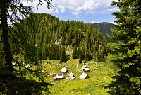 Slovinsko - Julské Alpy: Planina Viševnik