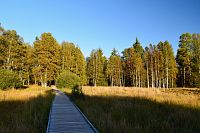 Šumava: Chalupská slať