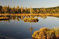 Šumava: Chalupská slať