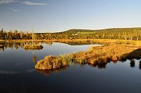 Šumava: Chalupská slať