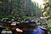 Šumava: řeka Vydra mezi Antýglem a Čeňkovou pilou