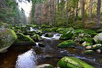 Šumava: řeka Vydra mezi Antýglem a Čeňkovou pilou
