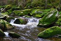 Šumava: řeka Vydra mezi Antýglem a Čeňkovou pilou