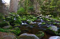Šumava: řeka Vydra mezi Antýglem a Čeňkovou pilou