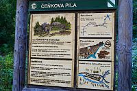 Šumava: Čeňkova pila, naučná tabule