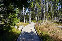 Šumava: Tříjezerní slať