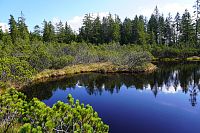 Šumava: Tříjezerní slať