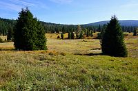 Šumava: Luzenské údolí u Březníku