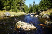 Šumava: Modravský potok směrem k Březníku