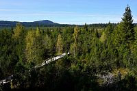 Šumava: Jezerní slať z rozhledny