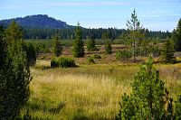 Šumava: Jezerní slať