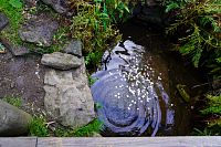 Šumava: Symbolický pramen Vltavy