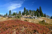 Německo - Bavorský les: u chaty Waldschmidthaus