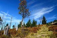Německo - Bavorský les: závěrečný výstup na Roklan
