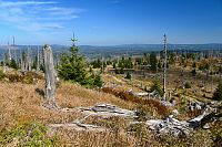 Německo - Bavorský les: výhled od Roklanu na českou stranu