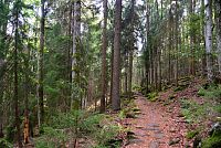 Německo - Bavorský les: stezka od Roklanského jezera zpět k Gfäll