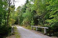 Německo - Bavorský les: rozcestí Wegweiser, odtud na Luzný 2 hodiny chůze