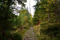 Německo - Bavorský les: stezka od rozcestí Wegweiser k sedlu Markfleckel