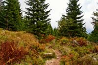 Německo - Bavorský les: stezka od rozcestí Wegweiser k sedlu Markfleckel