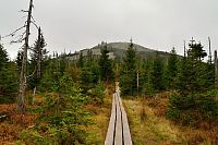 Německo - Bavorský les: pohled k Luznému ze sedla Markfleckel