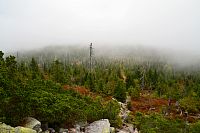 Německo - Bavorský les: pohled ze stezky na Luzný k sedlu Markfleckel