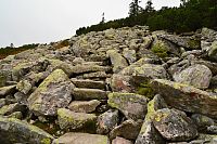 Německo - Bavorský les: stezka na Luzný ze sedla Markfleckel