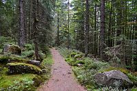 Německo - Bavorský les: stezka od Tummelplatz k Finsterau