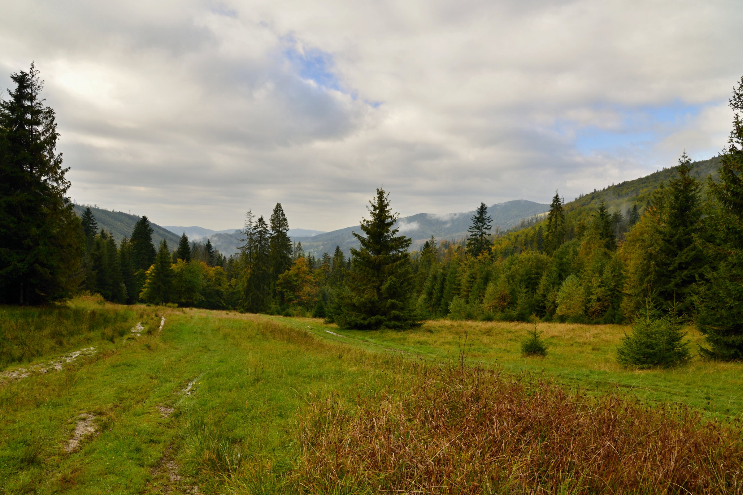 Slovensko – Kysucké Beskydy (1): Rycierova hora (Wielka Rycerzowa)