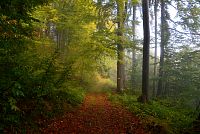 Slovensko – Kysucké Beskydy (1): Rycierova hora (Wielka Rycerzowa)