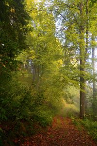 Slovensko - Kysucké Beskydy: žlutá trasa k chatě Na Rycerzowej
