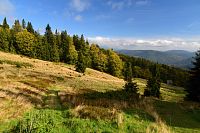 Slovensko - Kysucké Beskydy: Hala Rycerzowa, žlutá trasa k chatě Na Rycerzowej