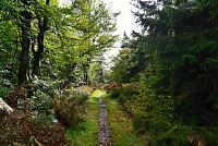 Slovensko - Kysucké Beskydy: zelená stezka dolů z Rycierové hory