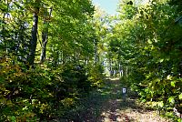 Slovensko - Kysucké Beskydy: neznačená stezka po slovensko-polské hranici