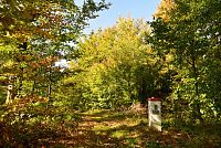 Slovensko - Kysucké Beskydy: neznačená stezka po slovensko-polské hranici