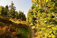 Slovensko - Kysucké Beskydy: červená turistická stezka mezi malou a Velkou Račou